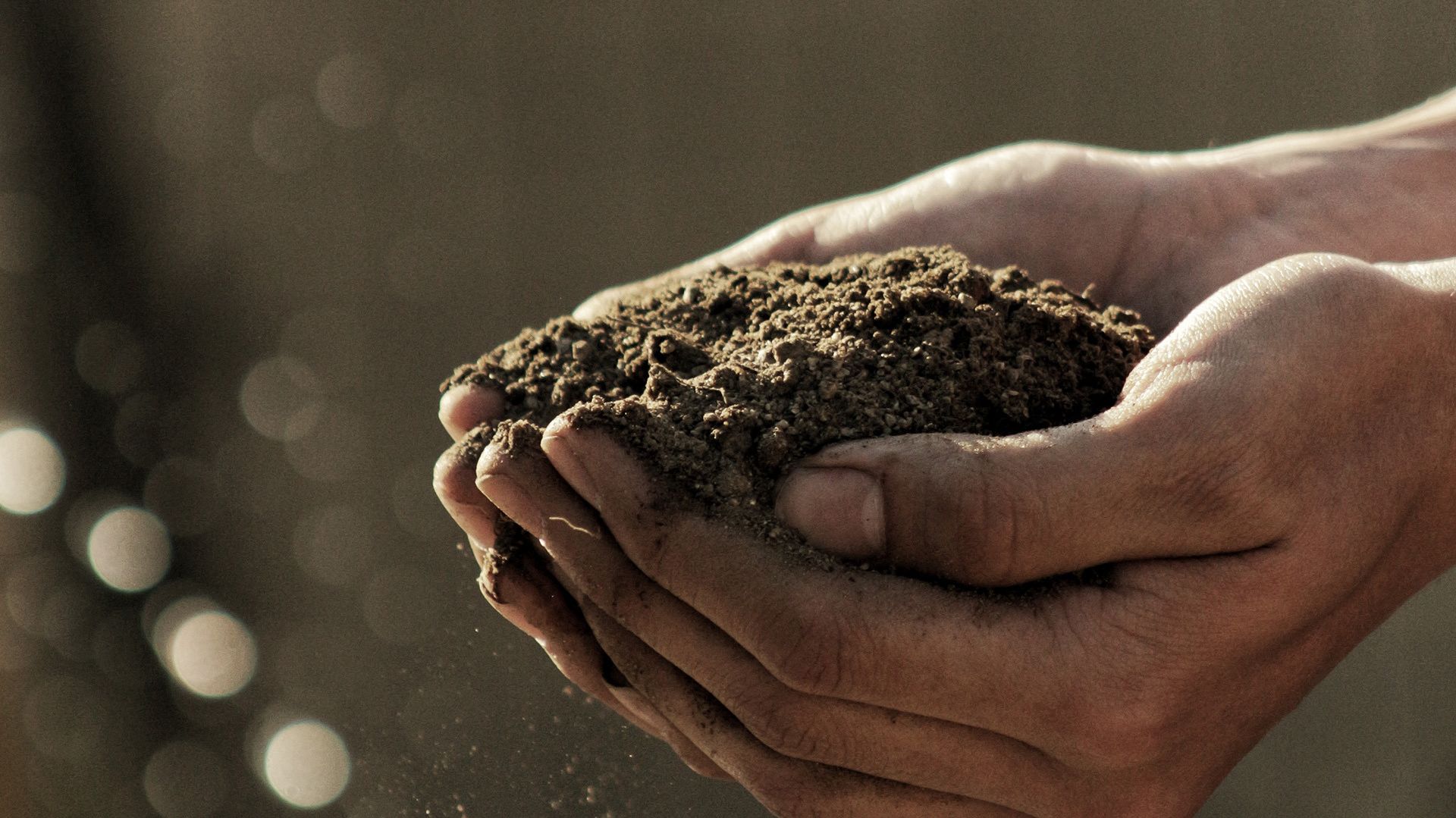 Compost handen